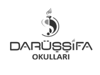 Darüşşifa Okulları